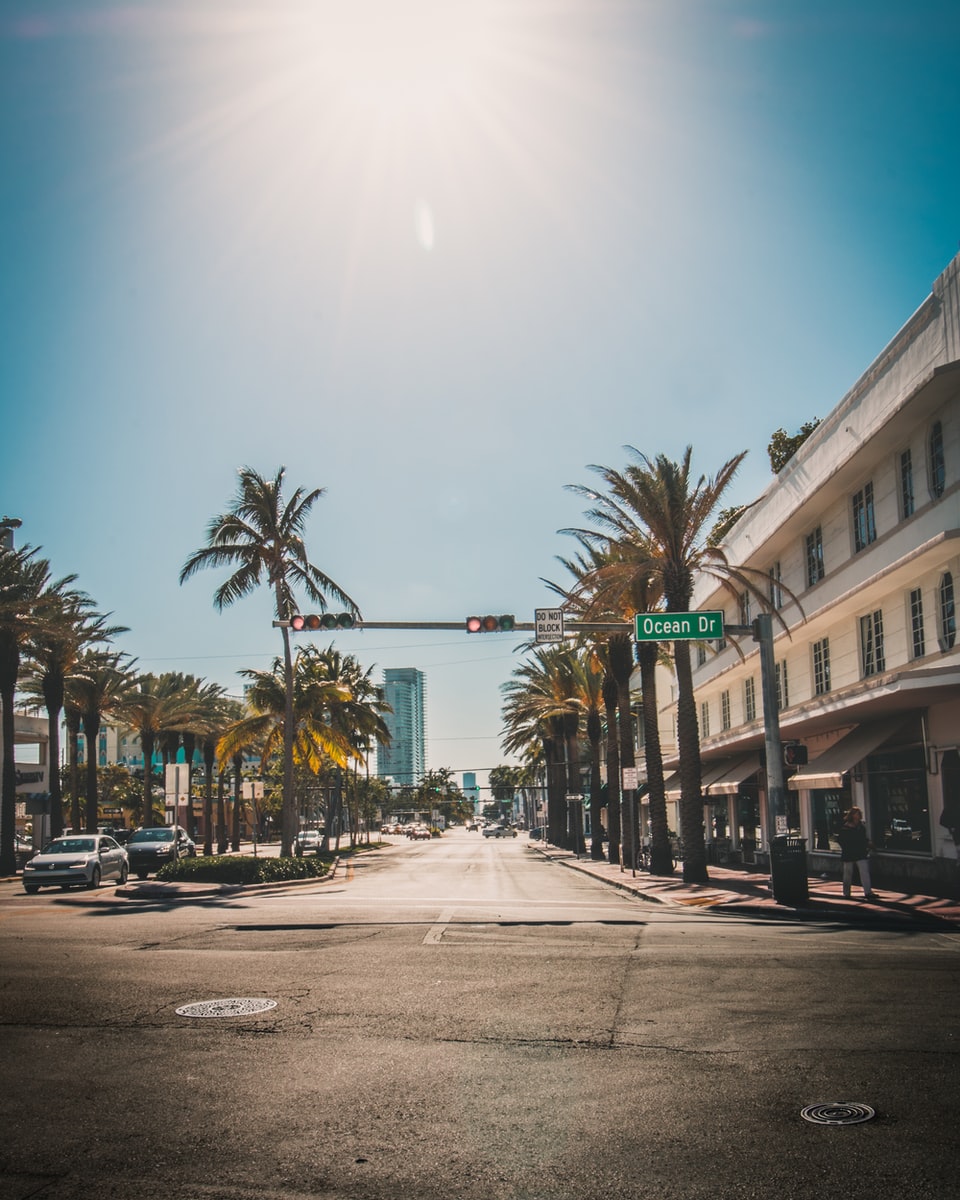 Photo by Franck CHARLES traffic light beside palm tree during daytime