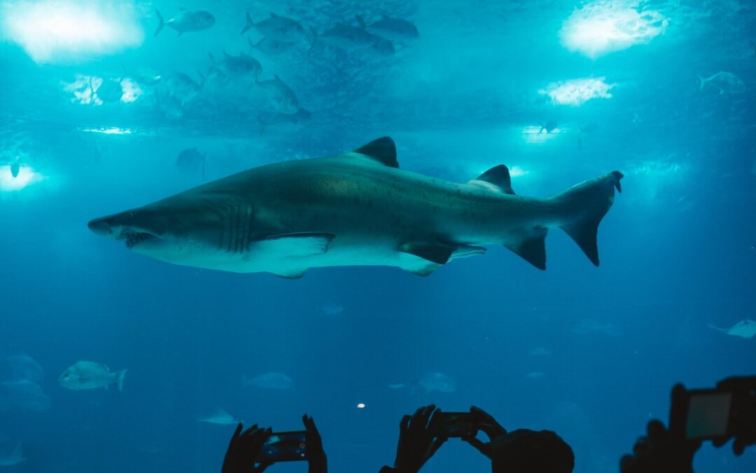 The Phillip and Patricia Frost Museum of Science – Explore Now!