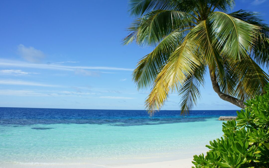 Haulover Beach and Park
