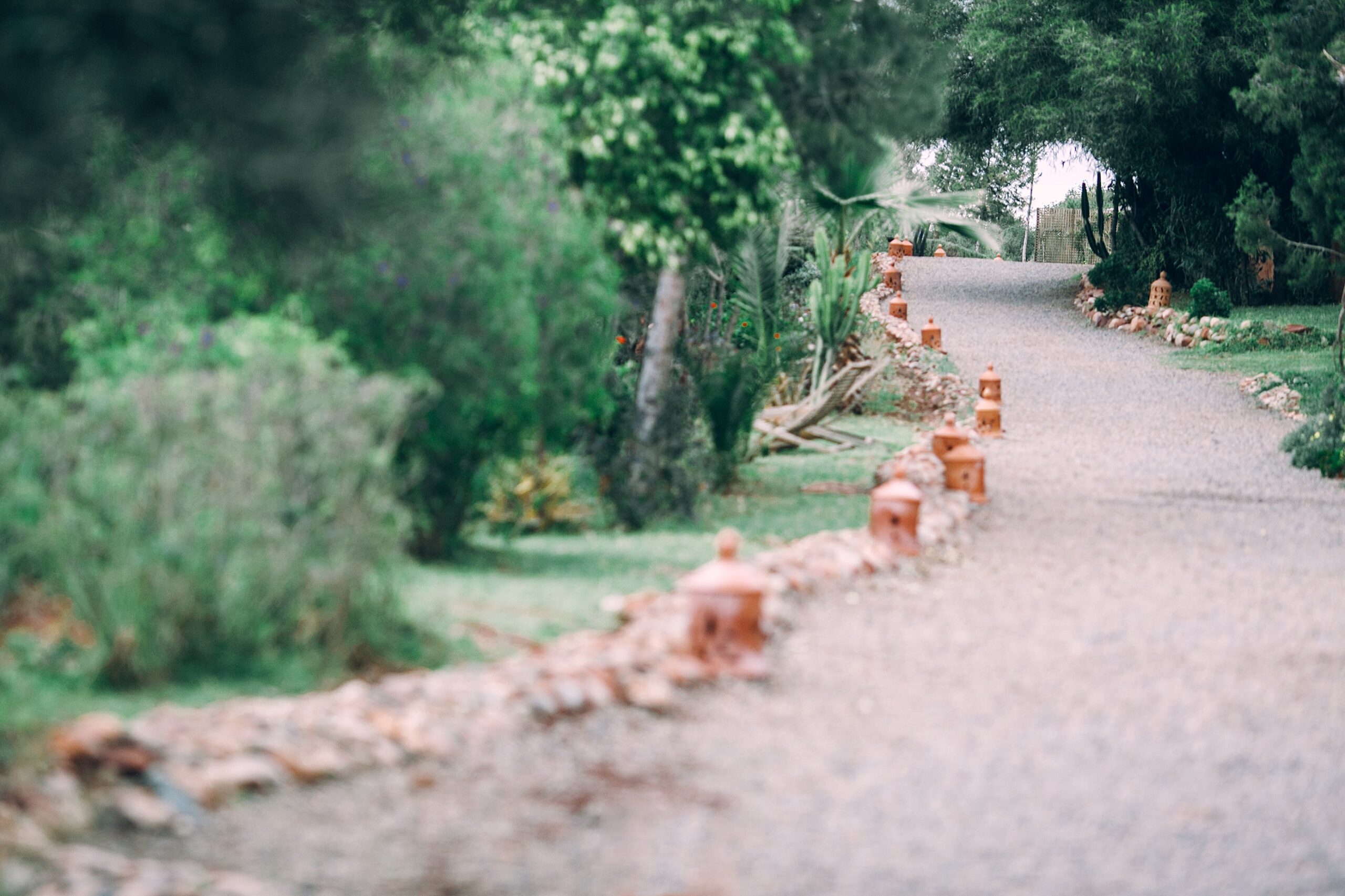 Fairchild Tropical Botanical Garden – Ravishing Sanctuary